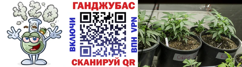 Амфетамин Шумиха