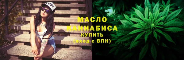 шишки Аркадак