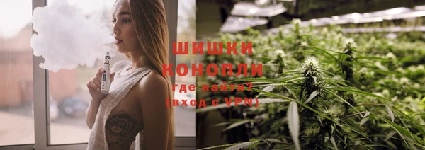 шишки Аркадак