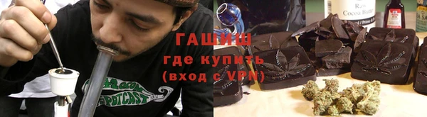шишки Аркадак