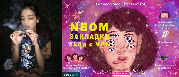 шишки Аркадак