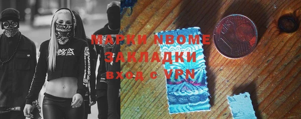 шишки Аркадак