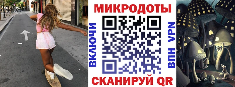 Псилоцибиновые грибы Psilocybe  Шумиха 
