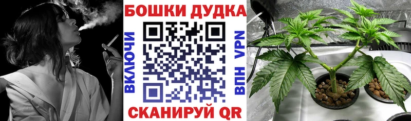 Каннабис ГИДРОПОН  закладки  Шумиха 